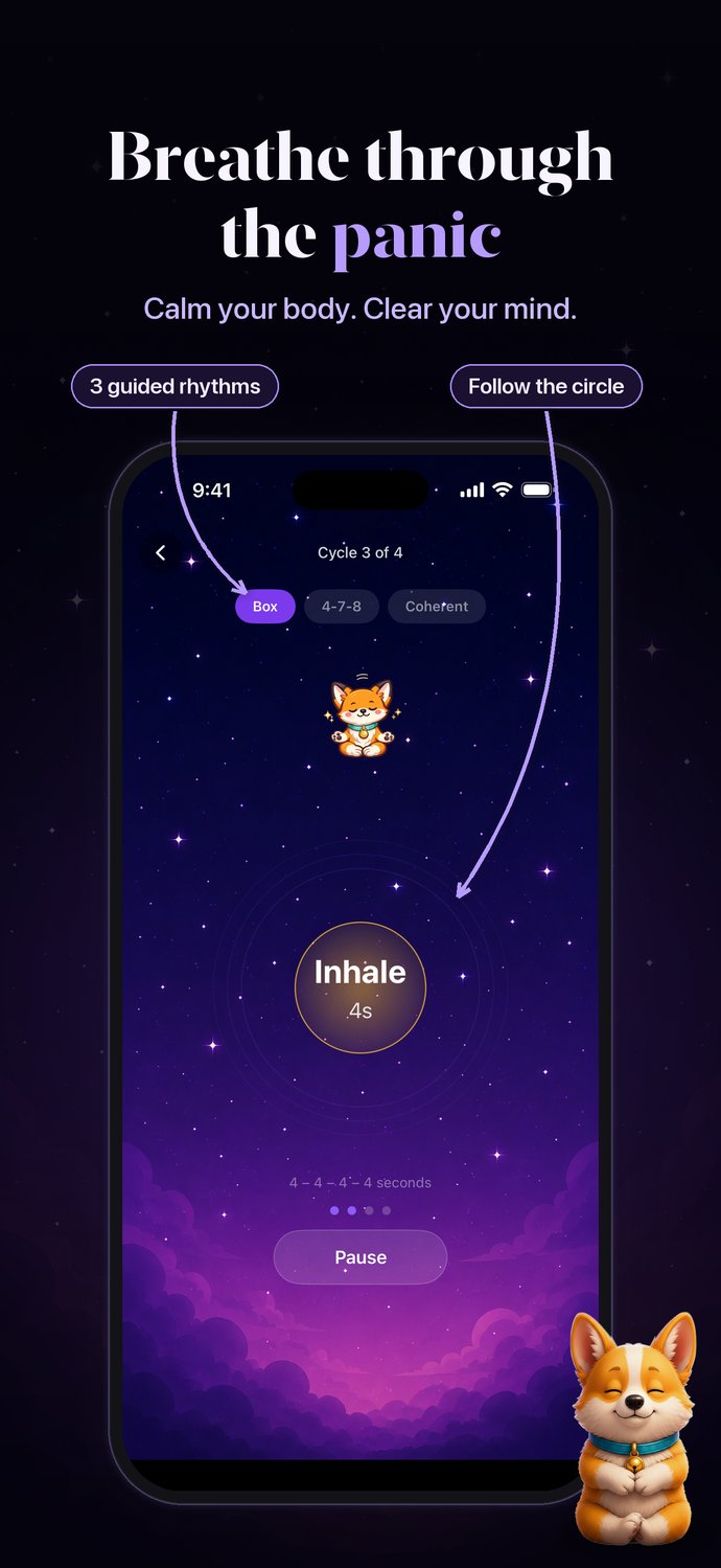 Guided paced breathing in Aura — breathe through the panic